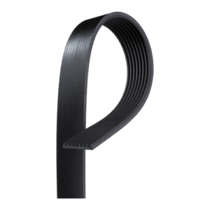 Cinghia Poly-V e Micro-V
