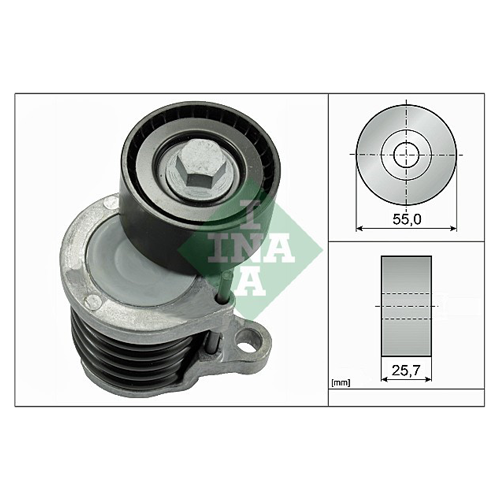 Tendicinghia sciolti